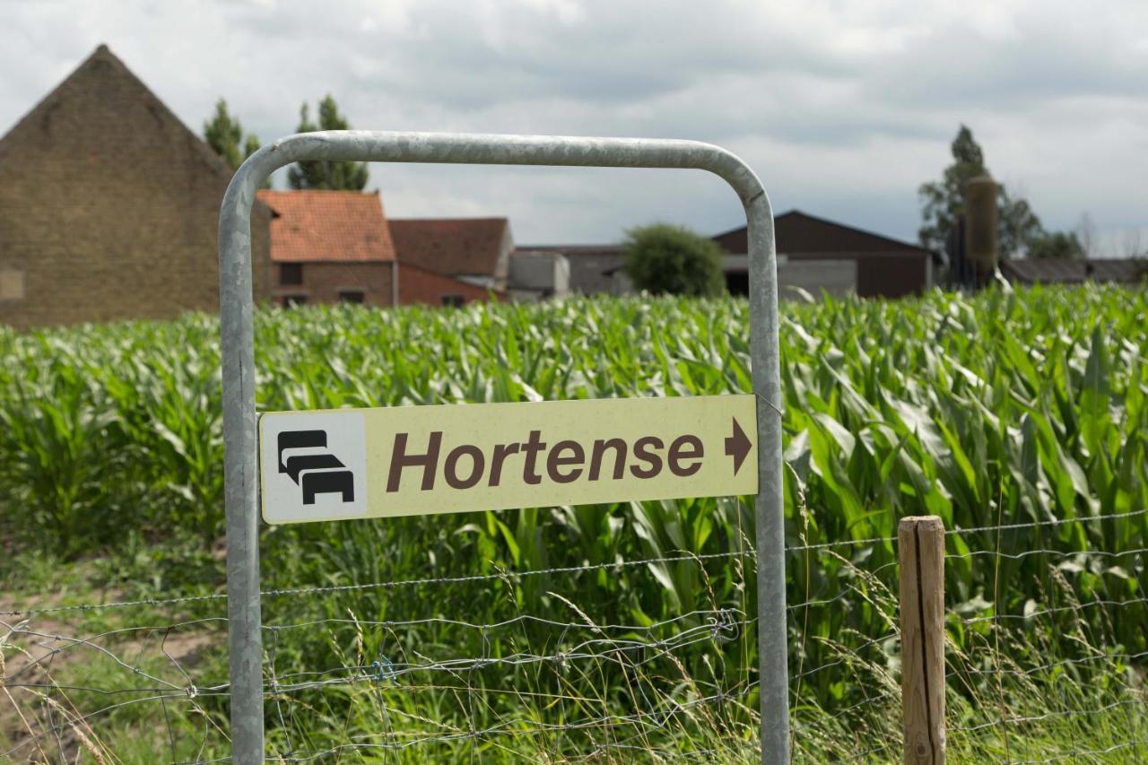 B&B Hortense Koekelare Esterno foto